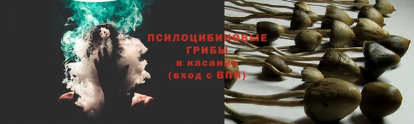 дмт Армянск