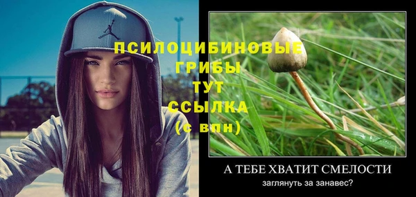 каннабис Арсеньев