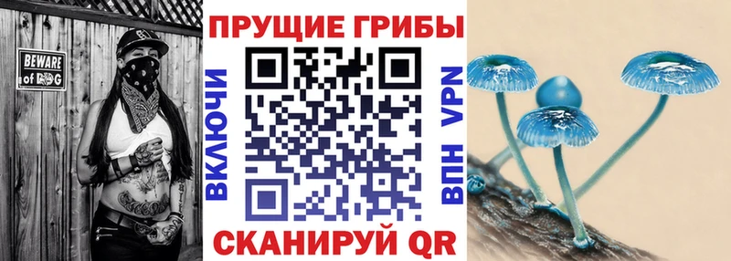 МЕГА ссылки  Верещагино  Галлюциногенные грибы ЛСД  где найти  